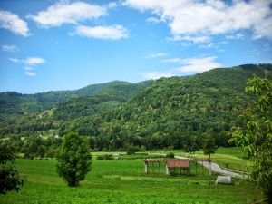 foret-tolmin-slovenie
