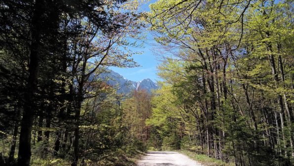 vallee-planica-small